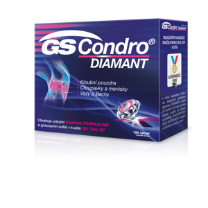 GS Condro diamant 120 tablet